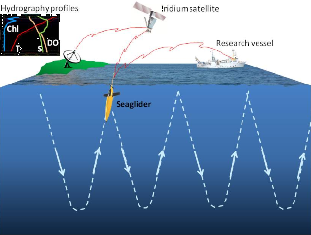 Seaglider operation